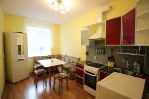 スィクティフカルにあるComfort Apartment On Karla Marksaのキッチン(テーブル付)、小さなキッチン(コンロ付)