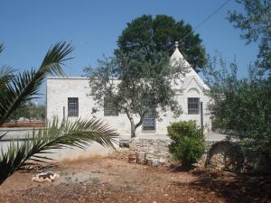 a white church with a tree in front of it at Trullo Salamina in Cisternino
