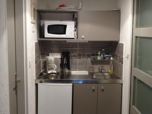 una pequeña cocina con fregadero y microondas en Le Chantemerle climatisé, en Briennon