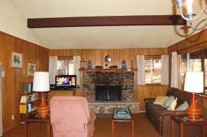 a living room with a couch and a fireplace at 84 Hastings Hideaway in Wawona