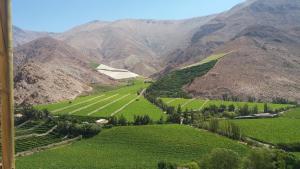 un valle con campos verdes y montañas al fondo en Hostal Los Nogales, en Coquimbo