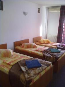 オトペニにあるPensiunea Raffaelのベッド3台が備わる部屋