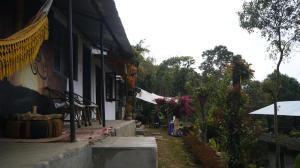Vrt pred nastanitvijo Peace Guest House
