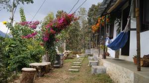 Vrt pred nastanitvijo Peace Guest House