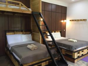 two bunk beds in a room with wooden walls at Villa Eden Paradise in Ella