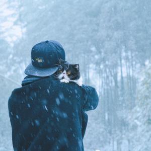 冬天的柒竹·悠南山