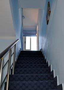 a staircase in a building with a blue wall at Hotel 3A in Tirana