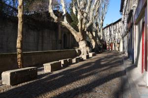 une rue avec des arbres et des bancs sur un trottoir dans l'établissement Appartements des Teinturiers, à Avignon