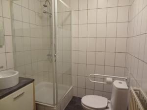 een badkamer met een douche, een toilet en een wastafel bij Logies Ocelot in Oostende