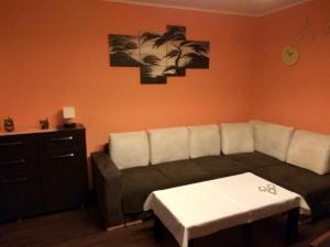 Fotografia z galérie ubytovania Sonatka w Apartamentowcu Sonata v destinácii Międzywodzie