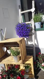 Zahrada ubytování Hotel Casada - inklusive Sommer Card
