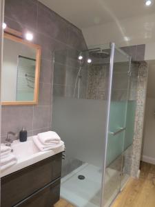 een badkamer met een douche en een wastafel bij Gîte du Châtelet in Villers-la-Ville