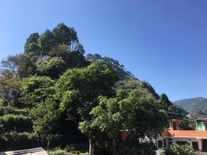 a large tree in front of a mountain at Shrestha Hotel & Restaurant in Bandipur