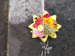 Afbeelding uit fotogalerij van Amaya Cottage Ubud by SHM in Ubud