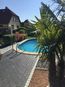 una piscina en un patio con una palmera en Ferienwohnungen Arkonablick, en Lohme