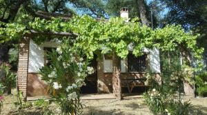 a cottage in the woods with trees and flowers at Camping Genal in Algatocín