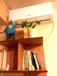 a book shelf with a potted plant and books at "Арбат" Центр квартира- Apartment "Arbat" in Almaty
