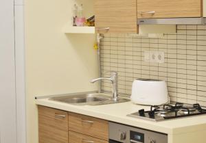Kuchyň nebo kuchyňský kout v ubytování Zagreb Centre Apartments