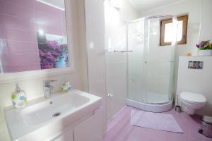 ein Badezimmer mit Waschbecken, Dusche und Toilette in der Unterkunft Casa Dacilor Liberi in Ranca + 49 Fotos