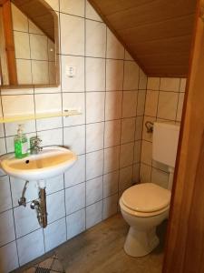a bathroom with a sink and a toilet at Restaurant Pension-Anton in Jáchymov