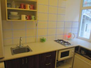 cocina con fregadero y encimera en Yaroslav Hostel en Kiev