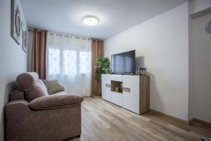 TV a/nebo společenská místnost v ubytování Versus Apartments near City of Arts 2