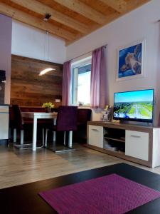 TV i/ili multimedijalni sistem u objektu Alpine Appartement