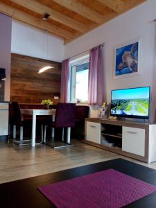 TV a/nebo společenská místnost v ubytování Alpine Appartement
