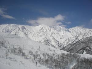 Alpine Wind v zimě