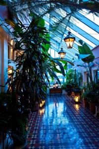 Zahrada ubytování Riverbank House Hotel