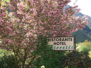 Příroda nedaleko hotelu