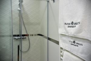 a shower with a glass door and a towel at Apartamenty Platan Opieszyn in Września +25 photos