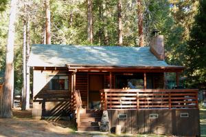 une petite cabine au milieu d'une forêt dans l'établissement 35 Cubbys Den, à Wawona
