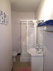 La salle de bains est pourvue d'une douche, d'un lavabo et de toilettes. dans l'établissement Studio 2 pers en vieille ville parking gratuit - by La Source d'OrFée, à Boulogne-sur-Mer