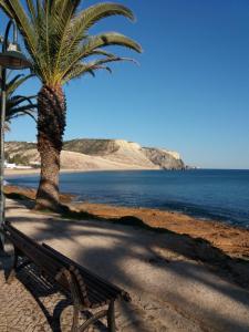 a bench sitting next to a palm tree and the ocean at Sunhouse in Luz