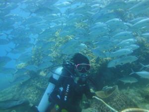a person taking a picture of a school of fish at Ucoy Beach Resort in Libertad
