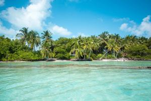 una isla en el océano con palmeras en Veli Beach Inn, en Mathiveri