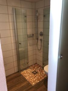 łazienka z prysznicem i toaletą w obiekcie Gästehaus Katharina w mieście Hochfilzen