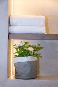 a potted plant sitting on a shelf next to towels at Studio-Vrij in Middelburg