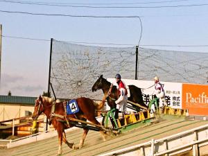 a horse pulling a carriage with two people on it at APA Hotel Obihiro Ekimae in Obihiro