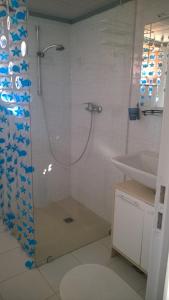bagno con doccia e lavandino di Gîte de Bugeron a Vicq-Exemplet