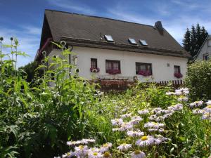 a field of flowers in front of a house at Ferienwohnung Reifberg in Ilmenau