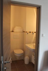 a small bathroom with a toilet and a sink at Pension Sonneneck in Zwiesel