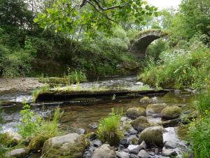 Natural landscape near the bed & breakfast 