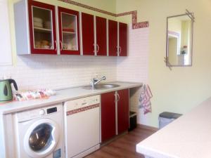 a kitchen with a sink and a washing machine at Ferienwohnung direkt in Ilmenau in Ilmenau +90 photos