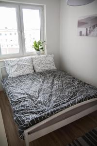 a bed with a black and white comforter and a window at Apartament F&J in Toruń