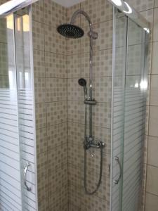 a shower with a glass door and a shower head at Kanellos luxury apartments in Paleros