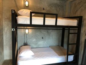 Легло или легла в стая в Blackjack Bar and Hostel