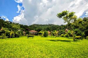ein grünes Feld mit Bäumen und Häusern im Hintergrund in der Unterkunft Kivu Paradis Resort in Nyamyumba