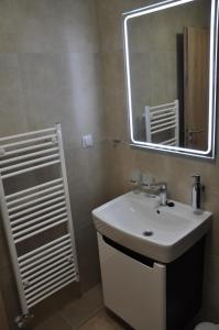 łazienka z białą umywalką i lustrem w obiekcie Apartmán 14 Lúčky Demänovská dolina w Demianowskiej Dolinie +15 zdjęć